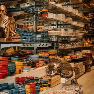A cozy Turkish bazaar scene featuring colorful bowls and a sleeping cat.